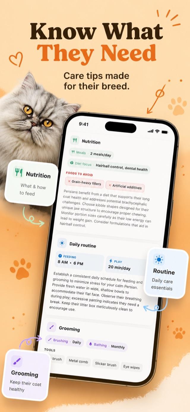 Cat breed profile with rarity tier, coat type, and lifespan