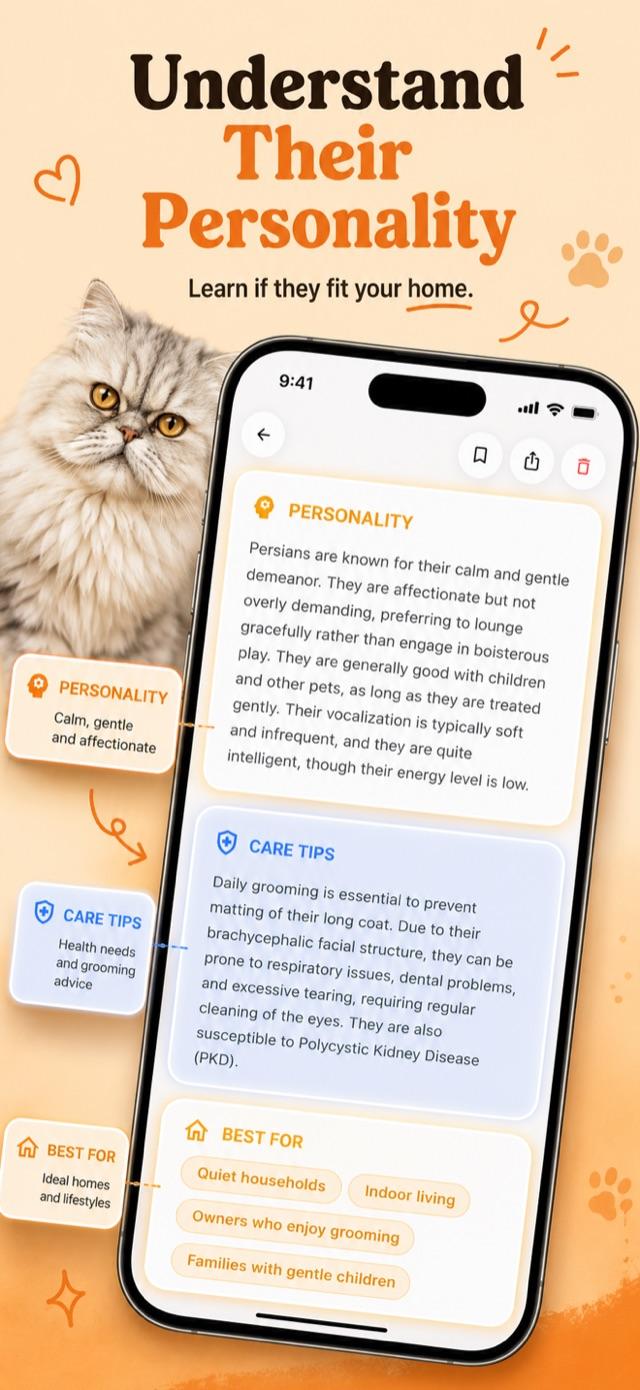 Breed-aware AI chat answering a cat behavior question