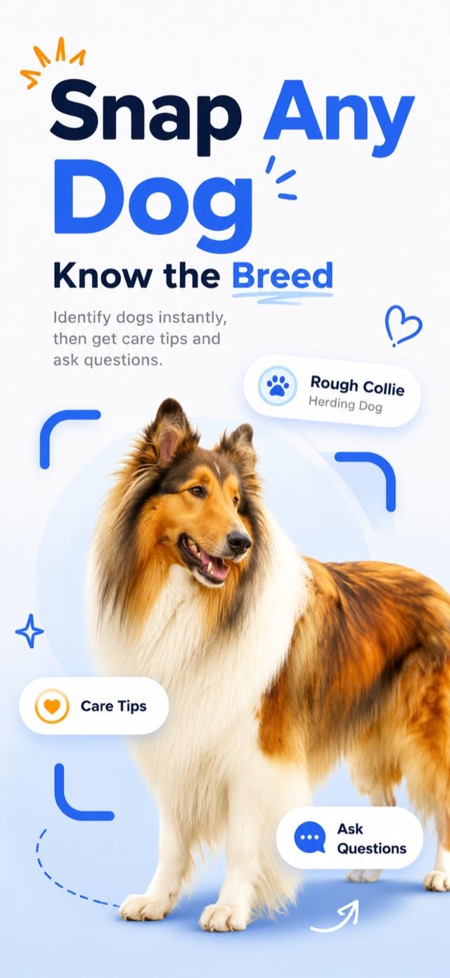 Dog breed identifier app scanning a dog with the camera