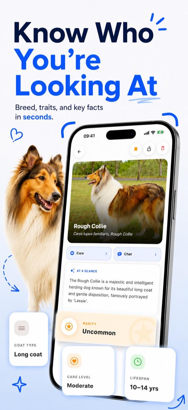 Breed match result showing breed name and confidence