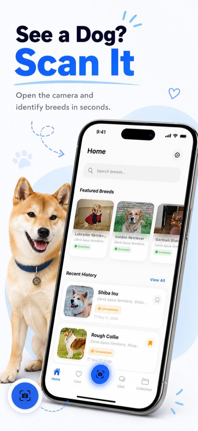 Breed-aware AI chat answering a question about a dog