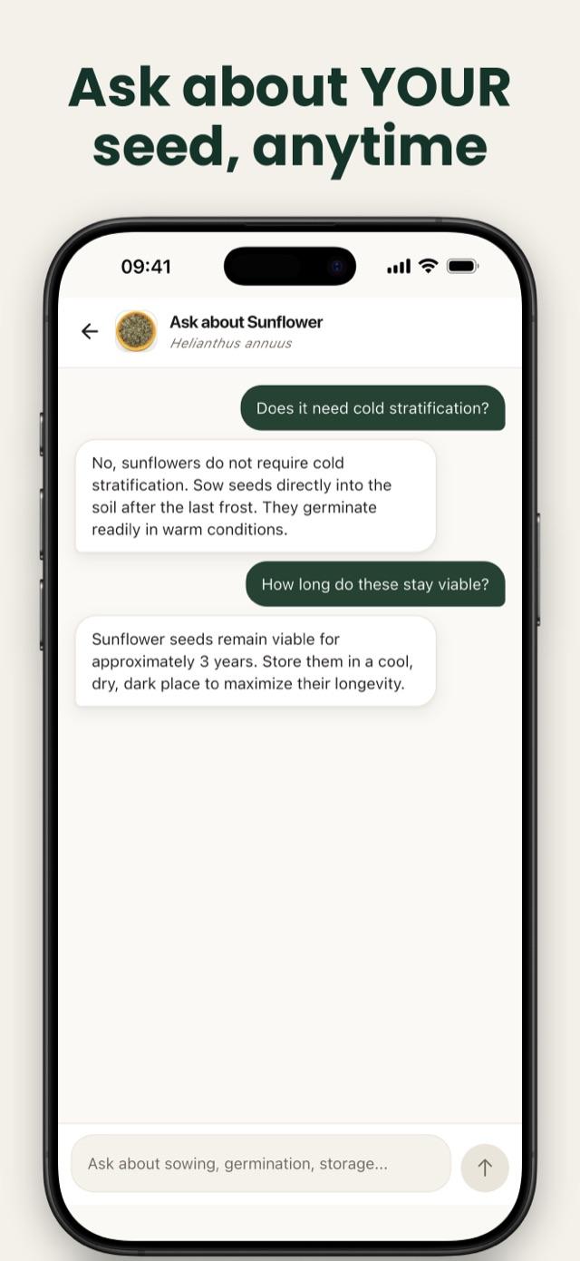 Chat answering questions about cold stratification and seed viability