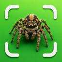 Spider Identifier: Venom ID app icon