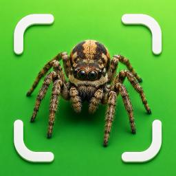 Spider Identifier: Venom ID app icon