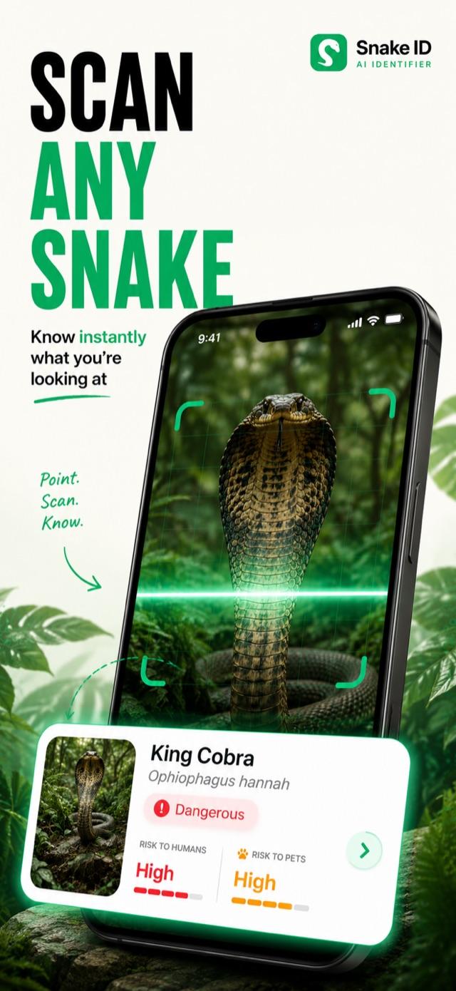 Snake identifier app scanning a snake with the camera