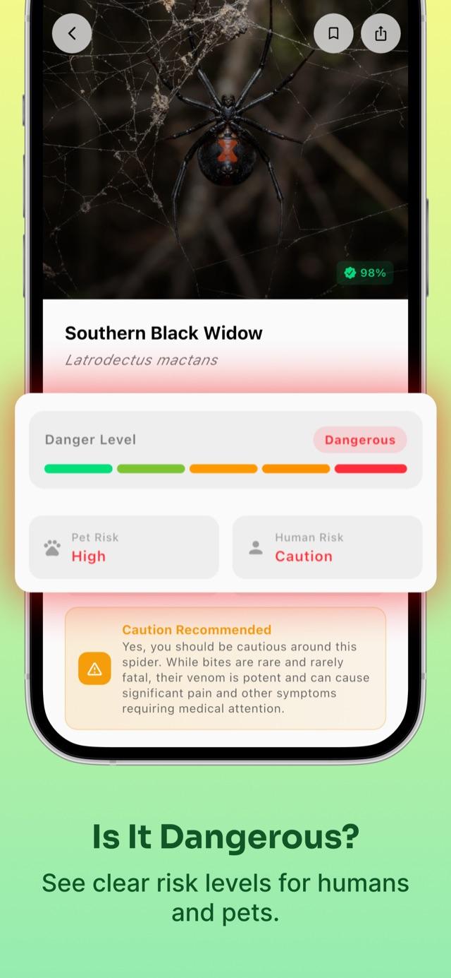 Identification result with species name and danger verdict