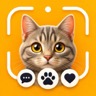 Cat & Kitten Breed Identifier