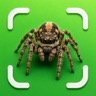 Spider Identifier: Venom ID